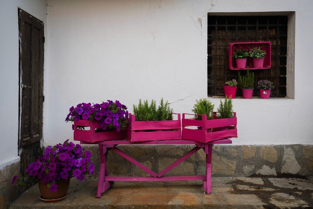 Agriturismo Cascina Del Vai Cairo Montenotte Exteriör bild
